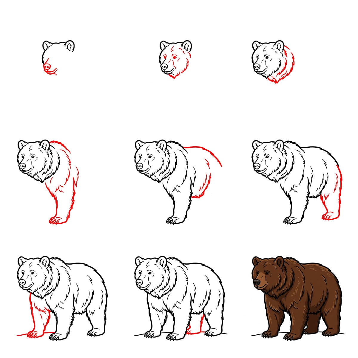 Ours qui marche dessin