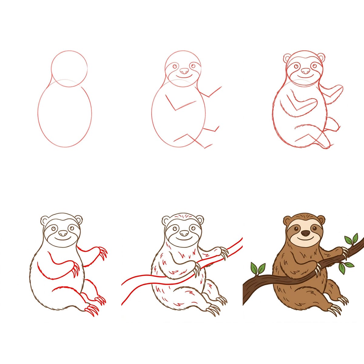 Paresseux qui fait un câlin dessin