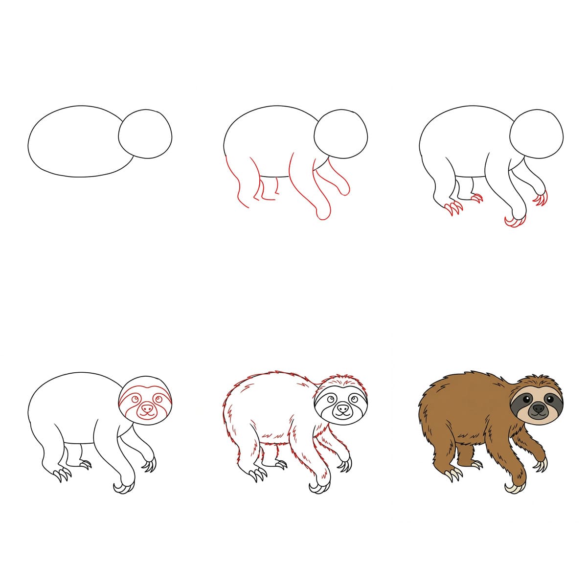 Paresseux qui marche dessin