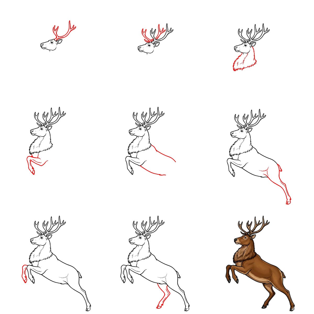 Renne sautant dessin