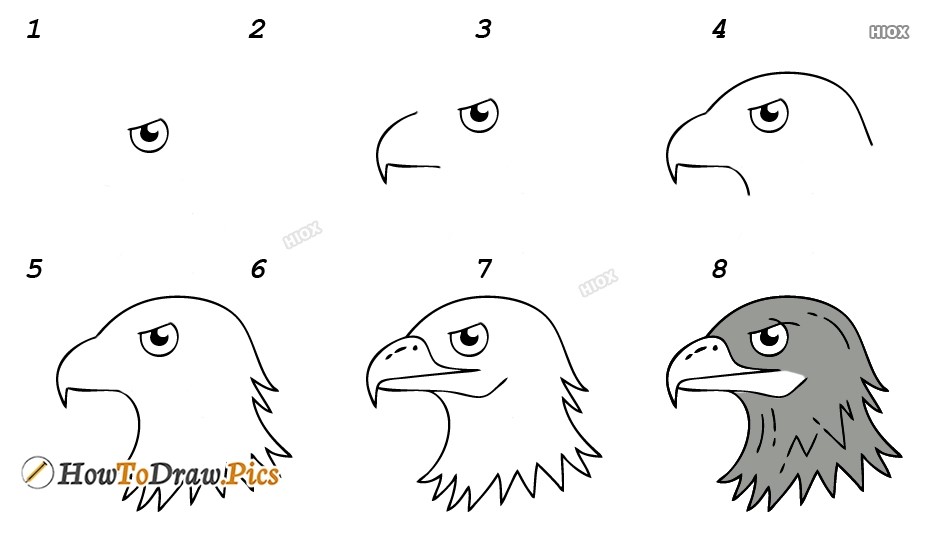 12 Facile Et Beau Id es De Dessin Aigle Comment Dessiner Aigle