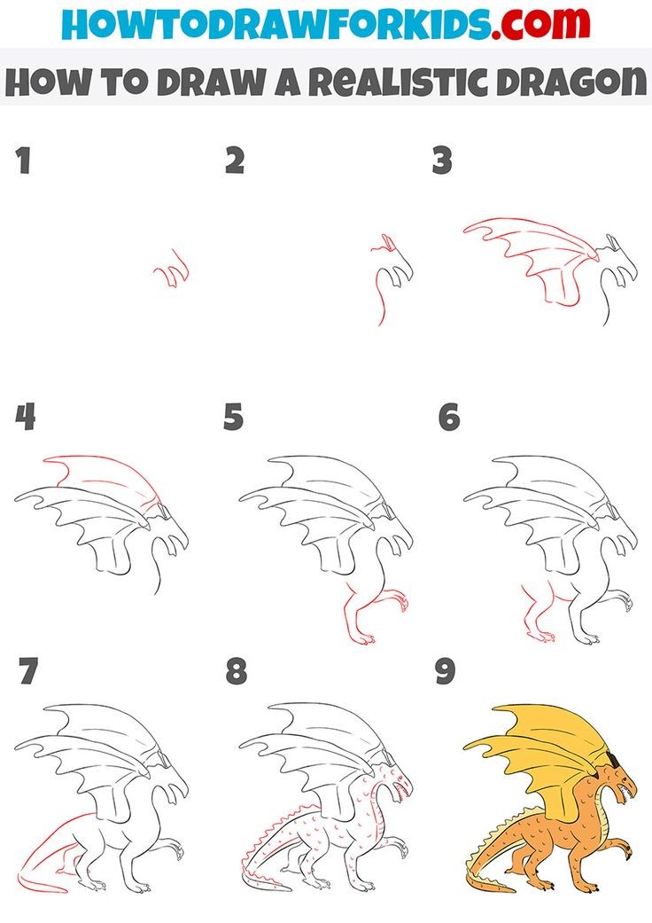 Un dragon détaillé étape par étape dessin