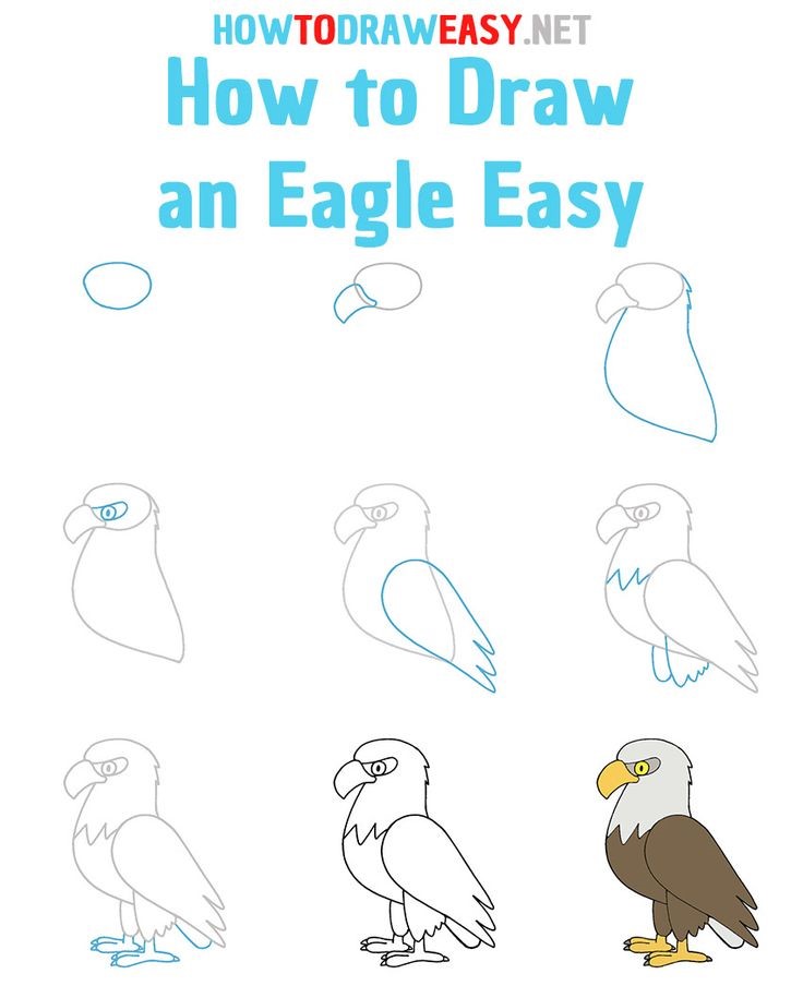 Un simple aigle dessin