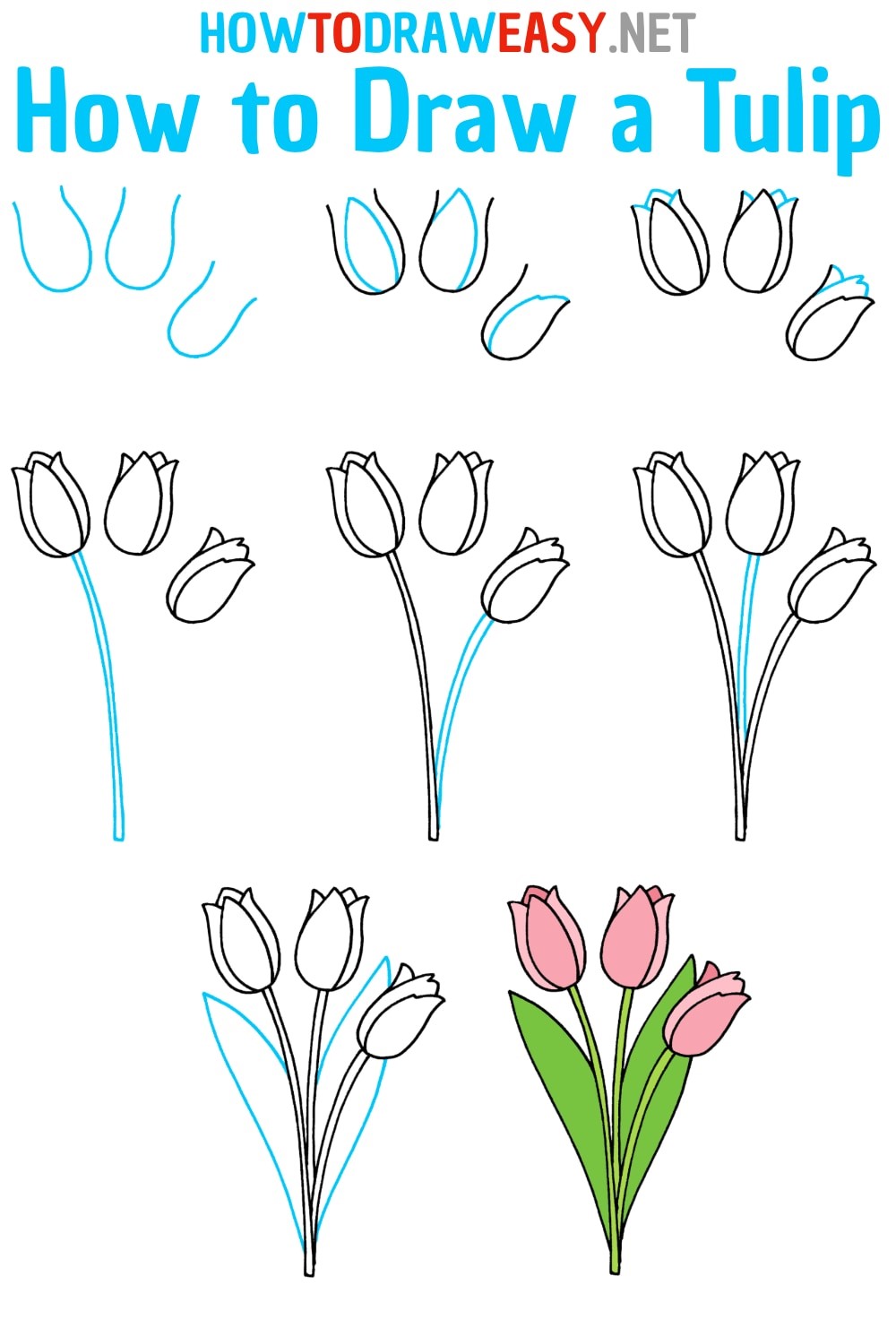 Tulipe dessin