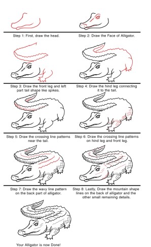 Alligator Ideas 12 dessin