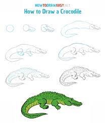Alligator Ideas 5 dessin