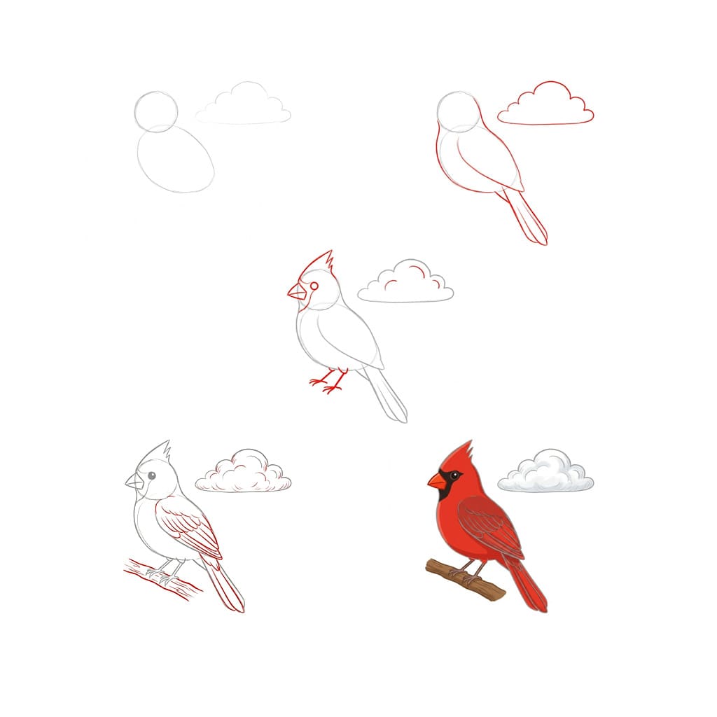 Cardinal avec nuage dessin