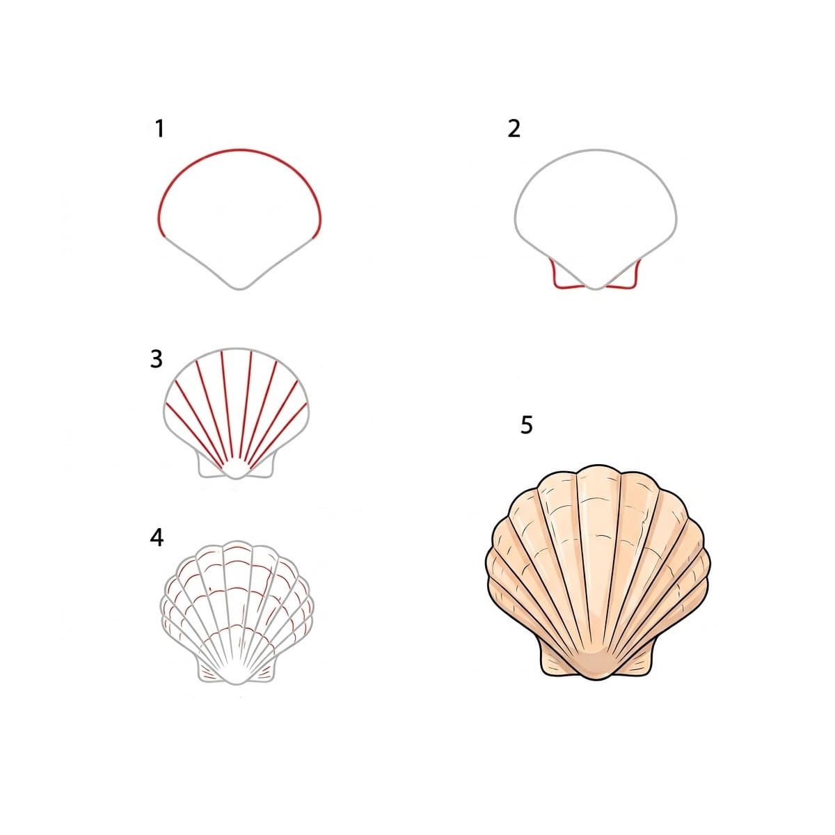 Coquillage Coeur Mignon dessin