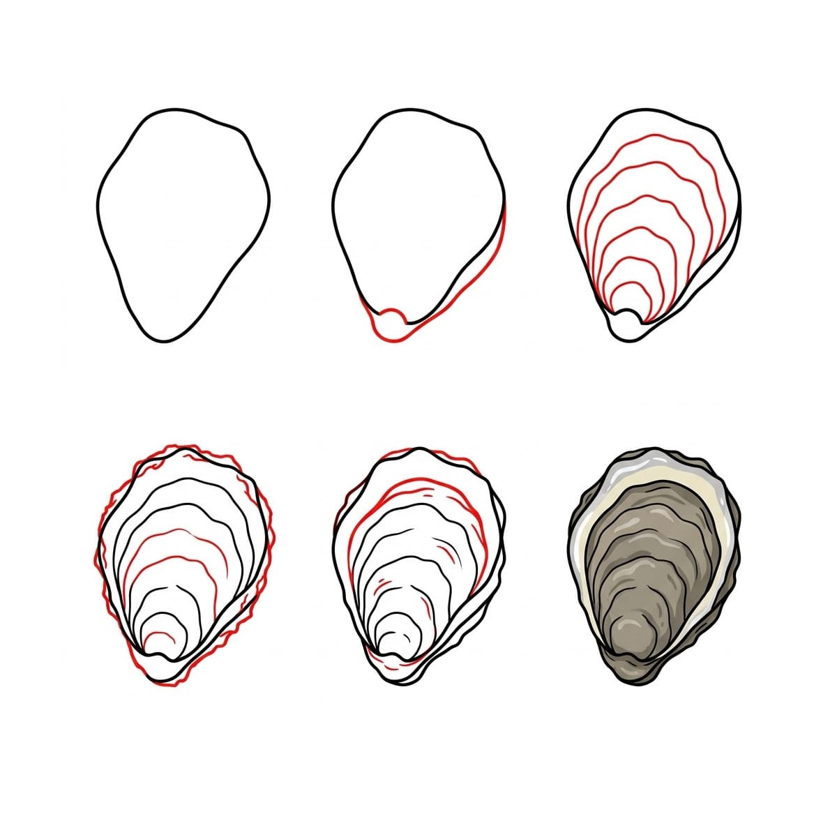 Coquillage Huître Naturelle dessin