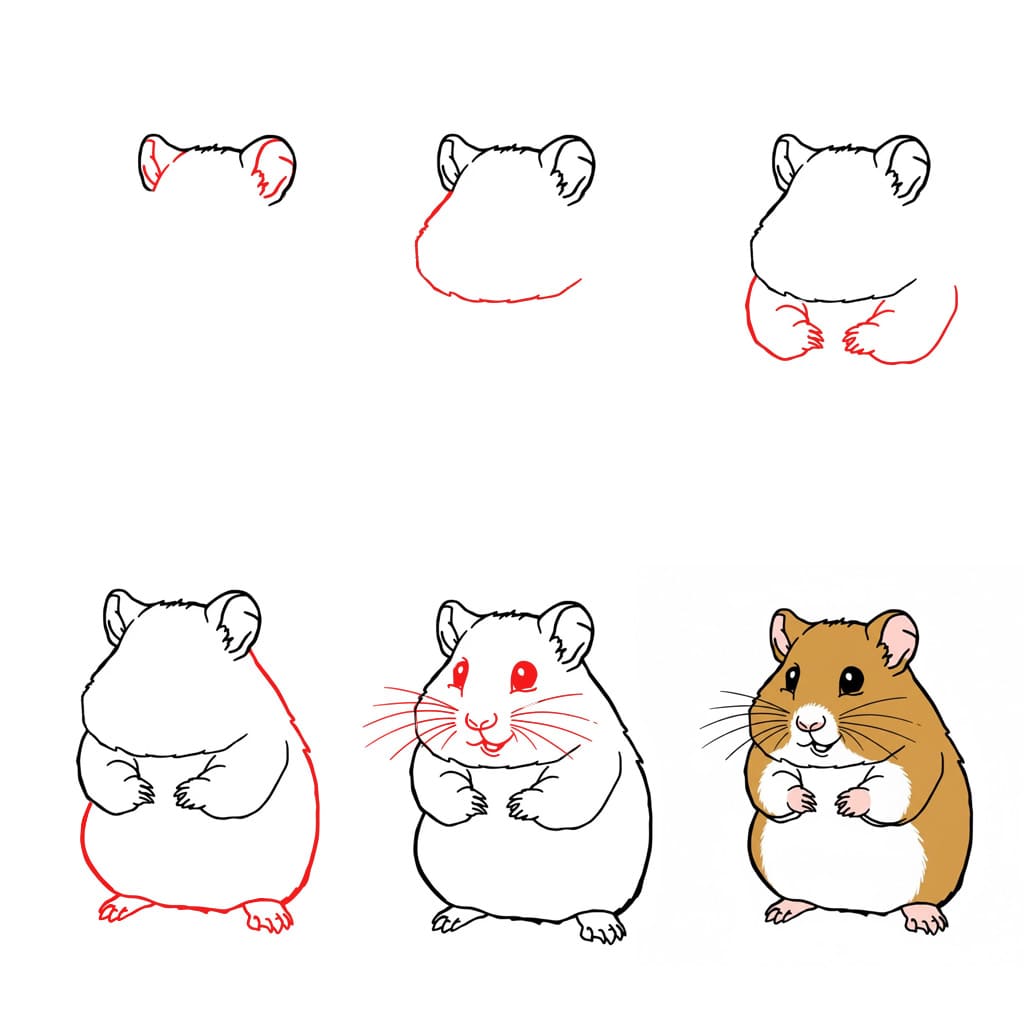 Hamster mignon dessin