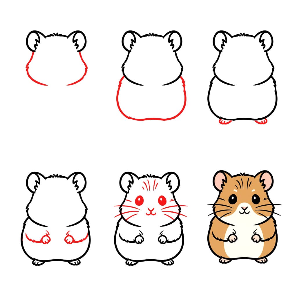 Hamster simple dessin