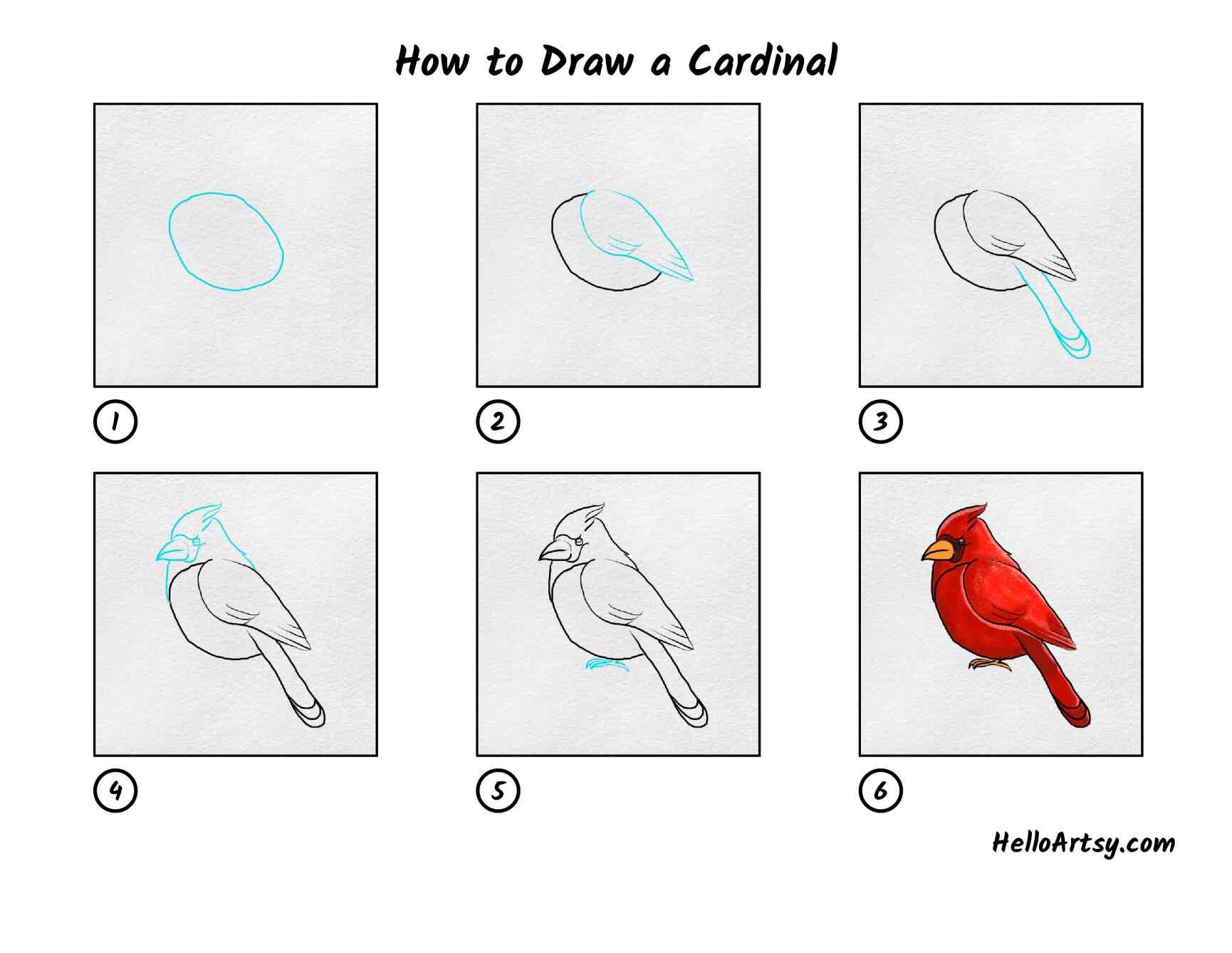 Idée cardinale 12 dessin