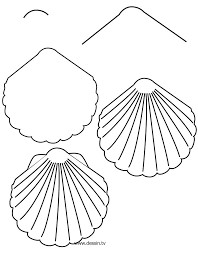 Idées de coquillages 2 dessin