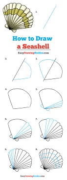 Idées de coquillages 5 dessin