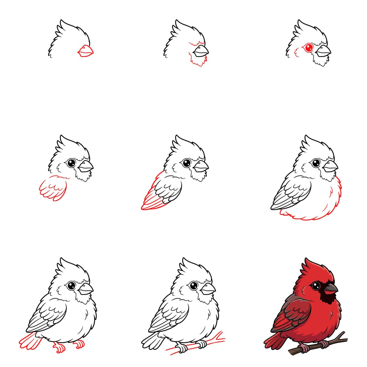 Petit cardinal dessin