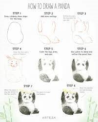 Un panda détaillé étape par étape dessin