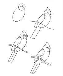 Un simple Cardinal dessin
