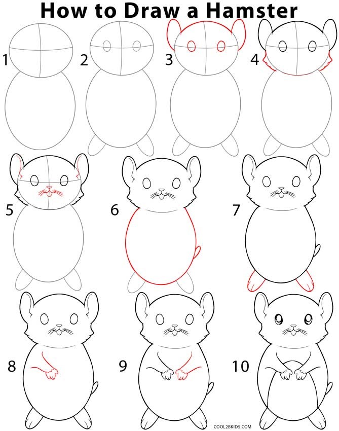 Idée de hamsters 6 dessin