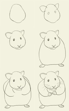 Idée de hamsters 8 dessin