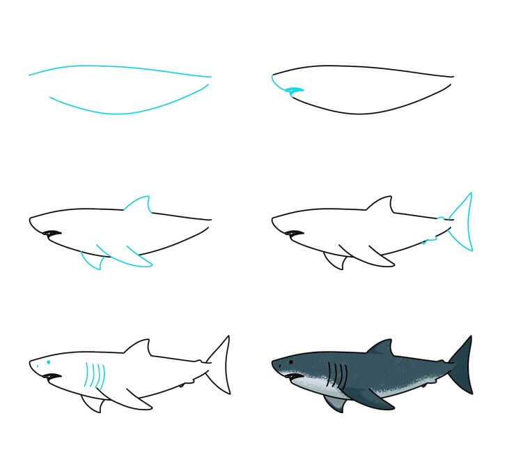 idée de requin (16) dessin