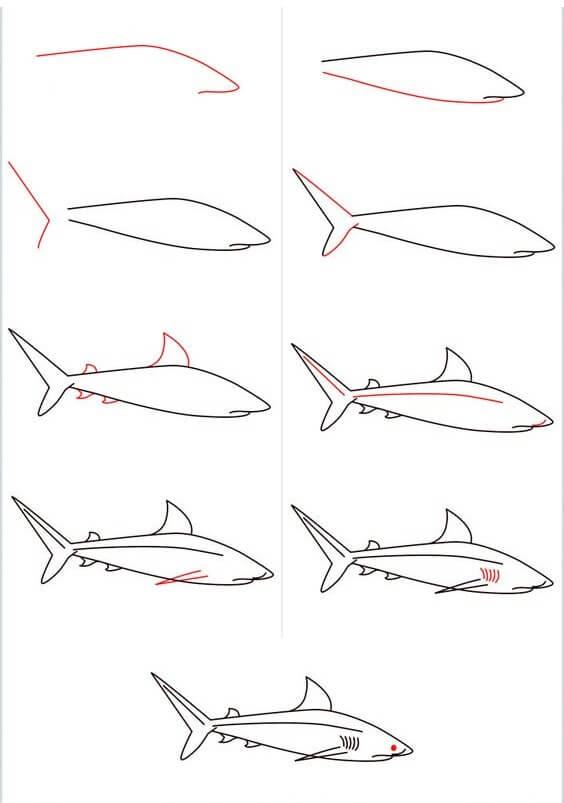 idée de requin (2) dessin