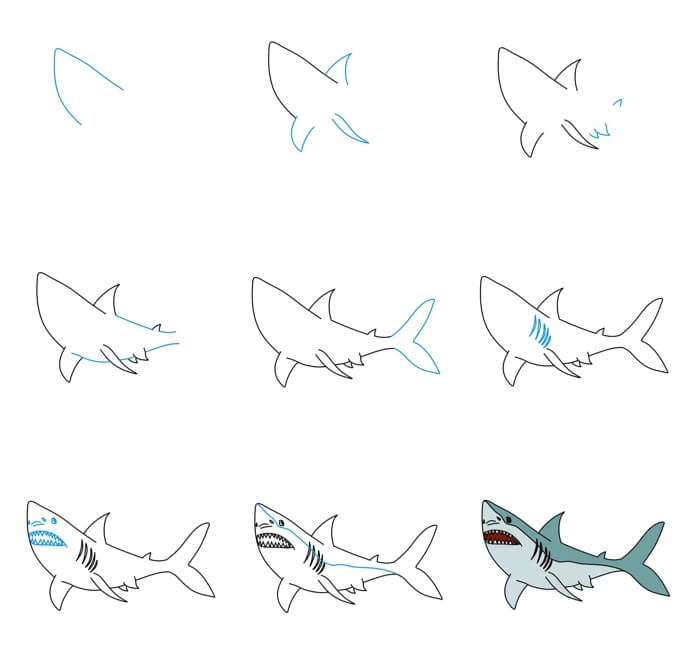 idée de requin (24) dessin
