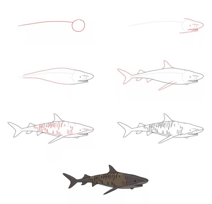 idée de requin (27) dessin