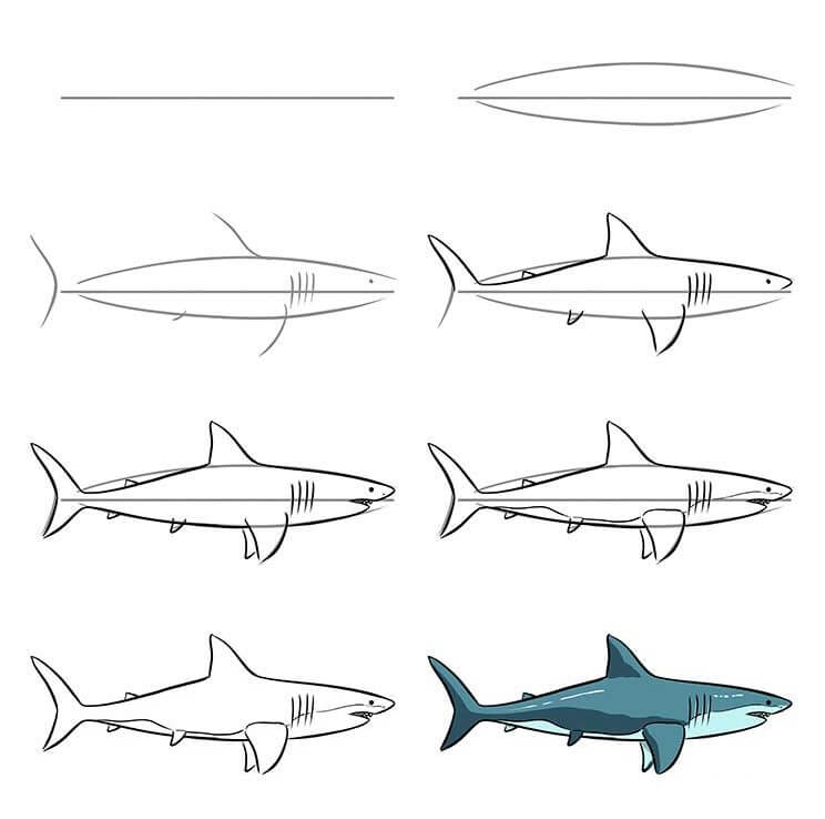 idée de requin (30) dessin