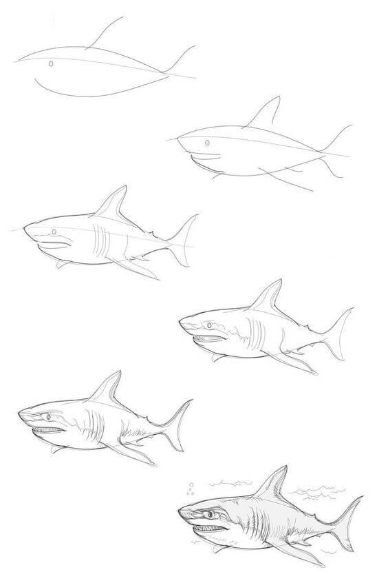 idée de requin (6) dessin