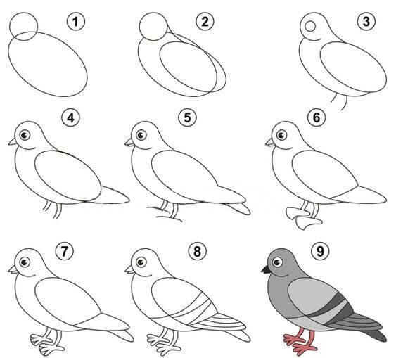 Pigeon de dessin animé dessin