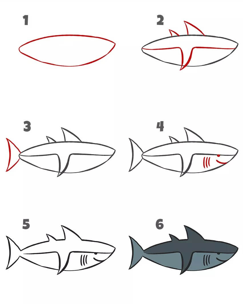 Requin adulte dessin