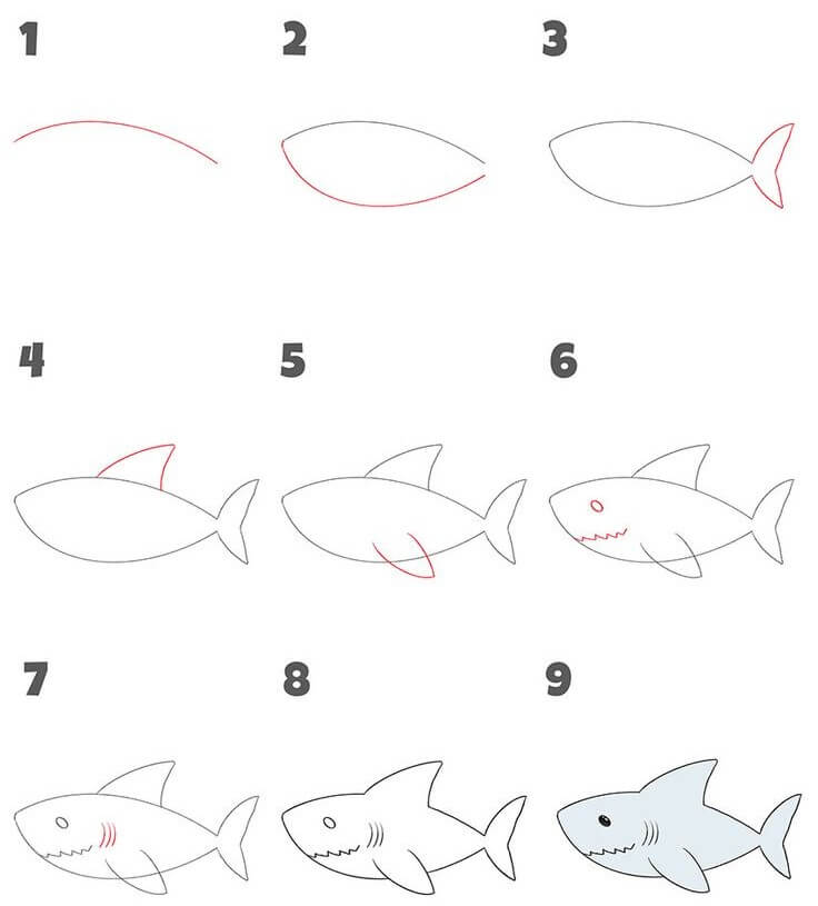 Requin mignon dessin