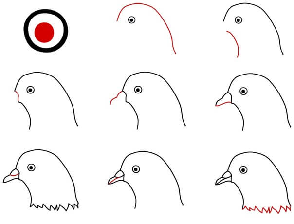 Visage de colombe dessin