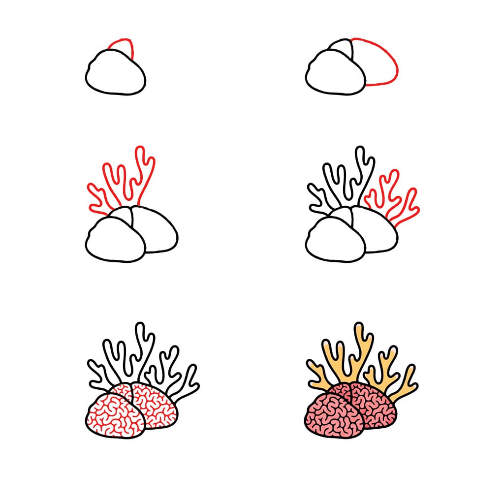 Corail réaliste dessin