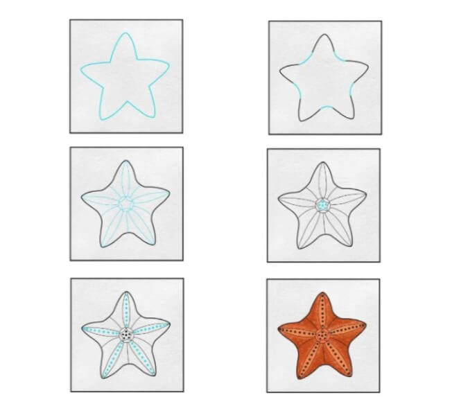 dessin d'étoile de mer simple dessin