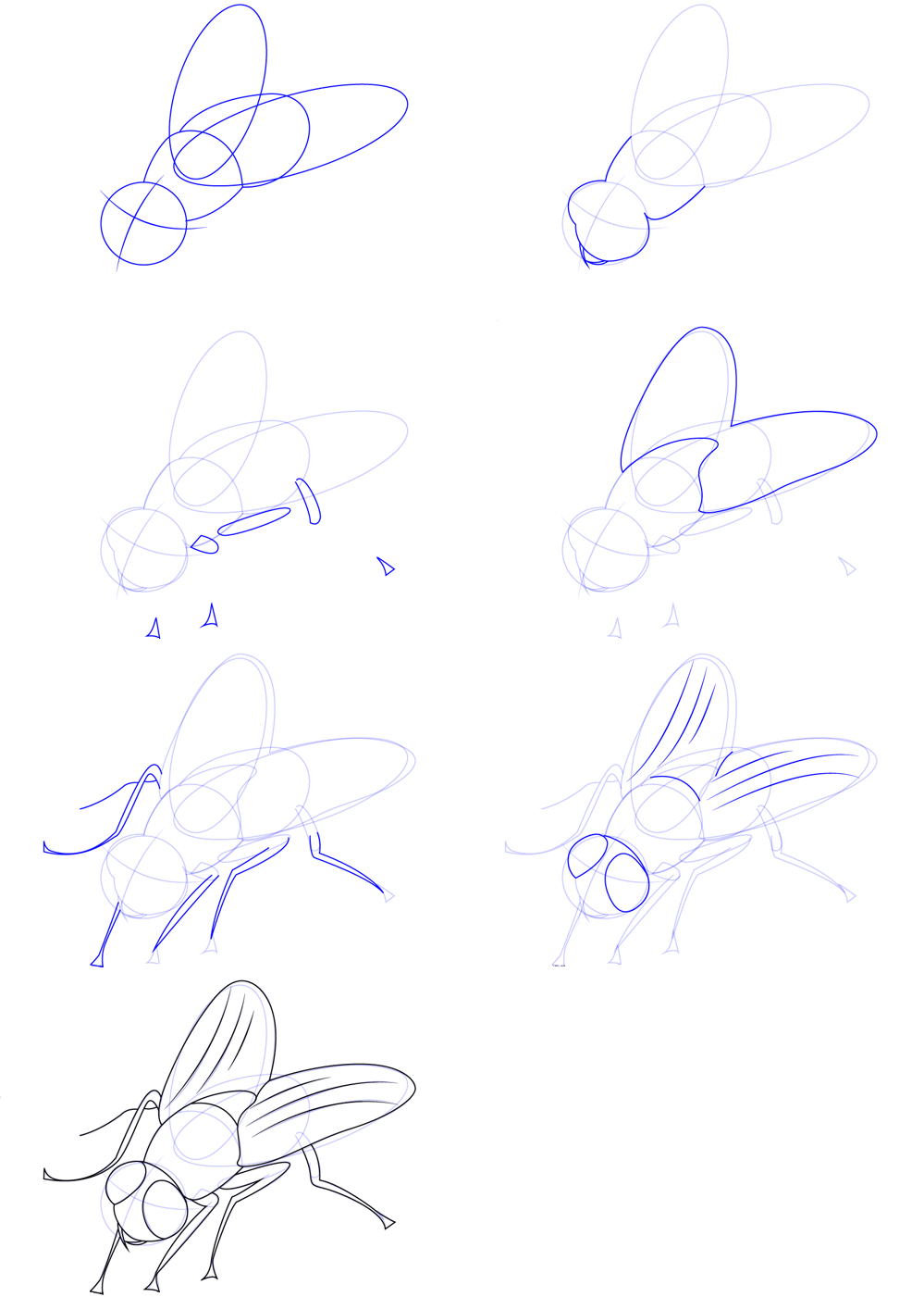 Dessine une mouche simple dessin