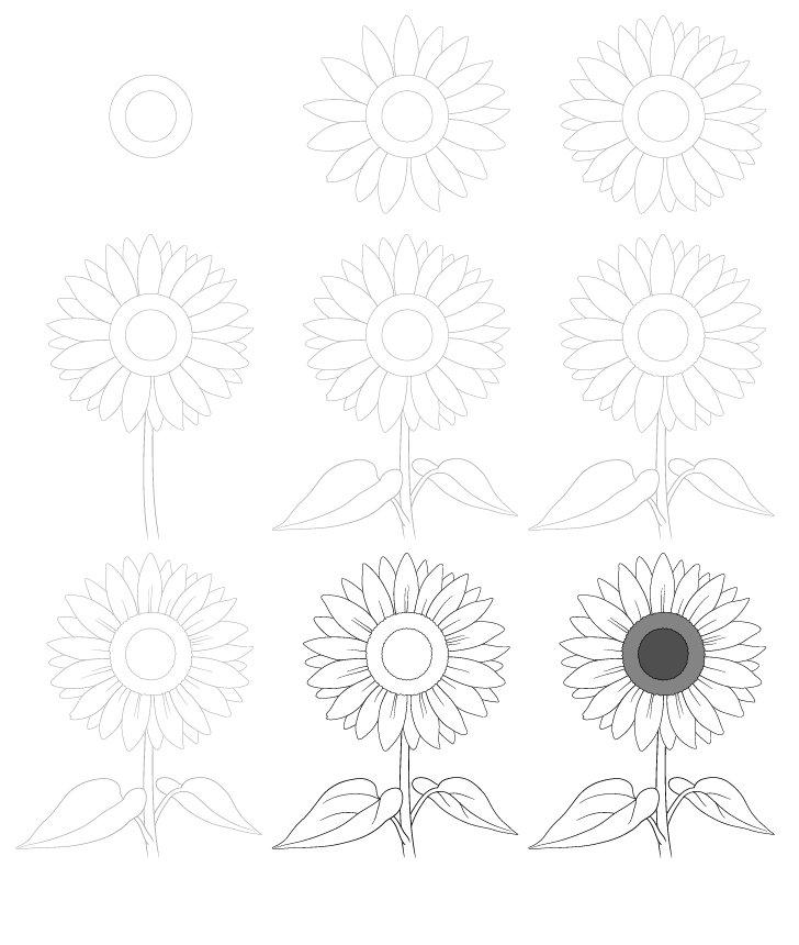 Dessiner des tournesols simples (1) dessin