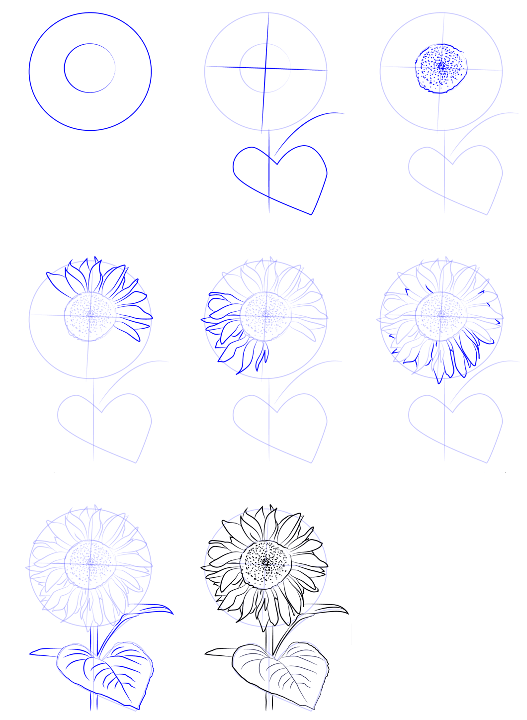Dessiner des tournesols simples (2) dessin