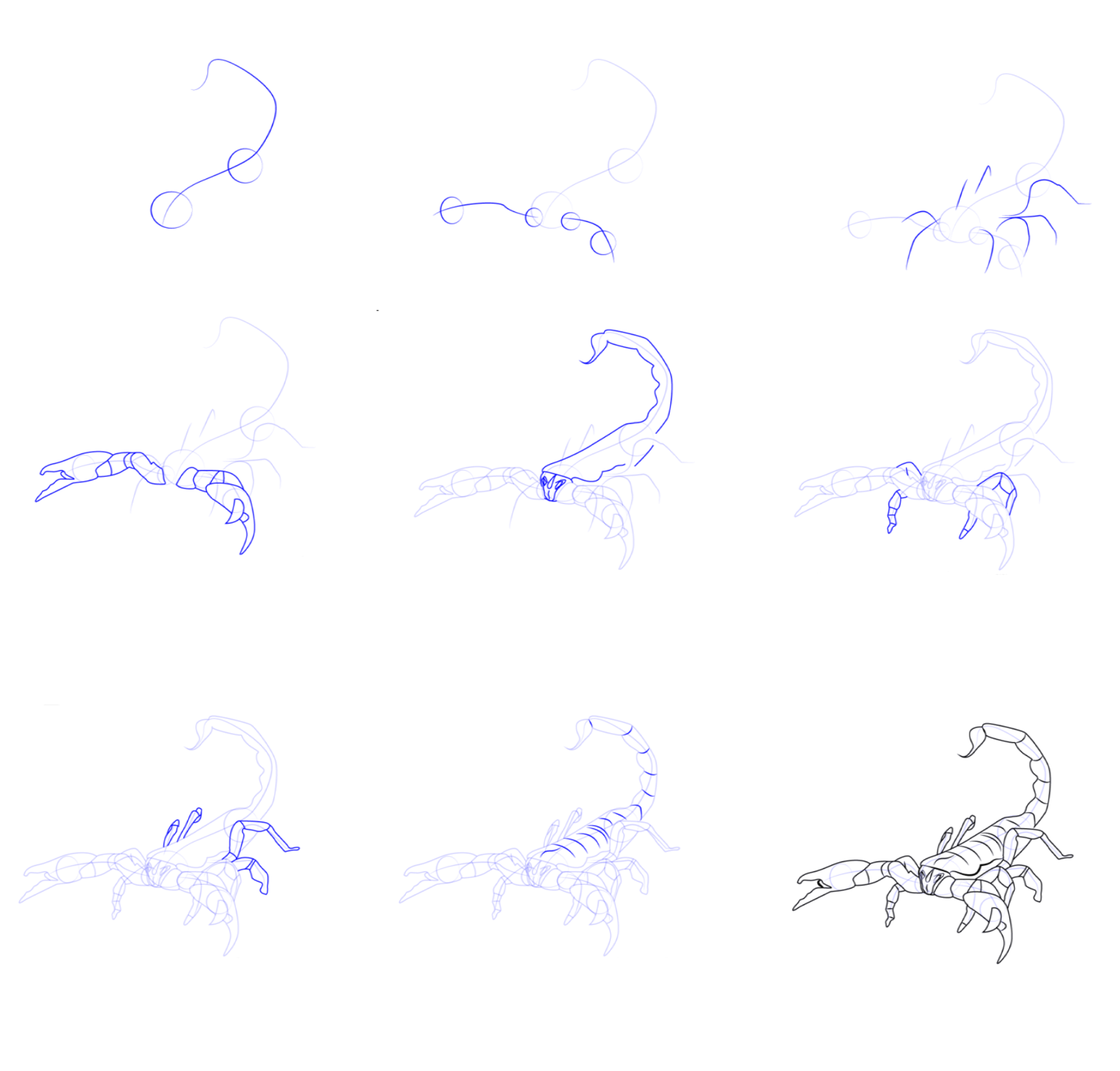 Dessiner un scorpion simple dessin