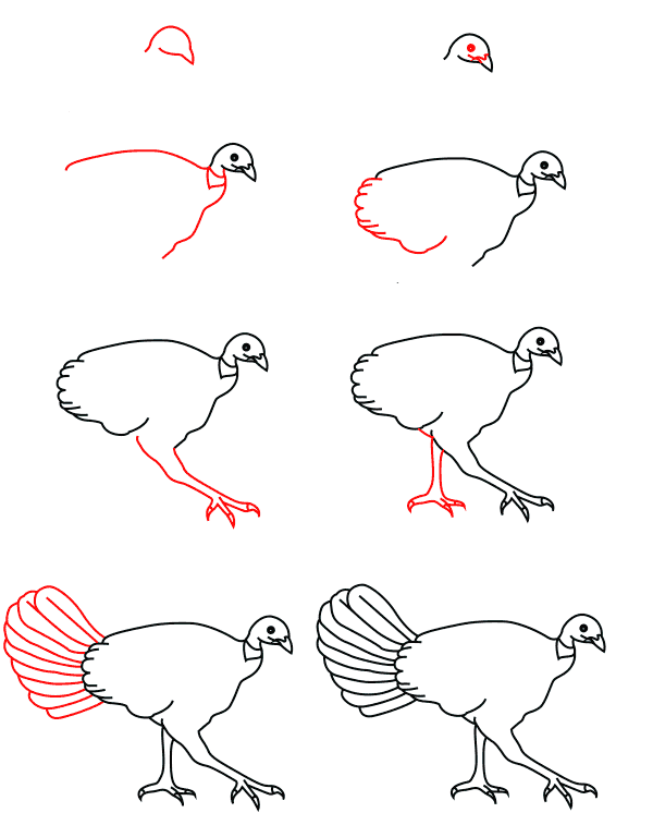 Female turkey (2) dessin
