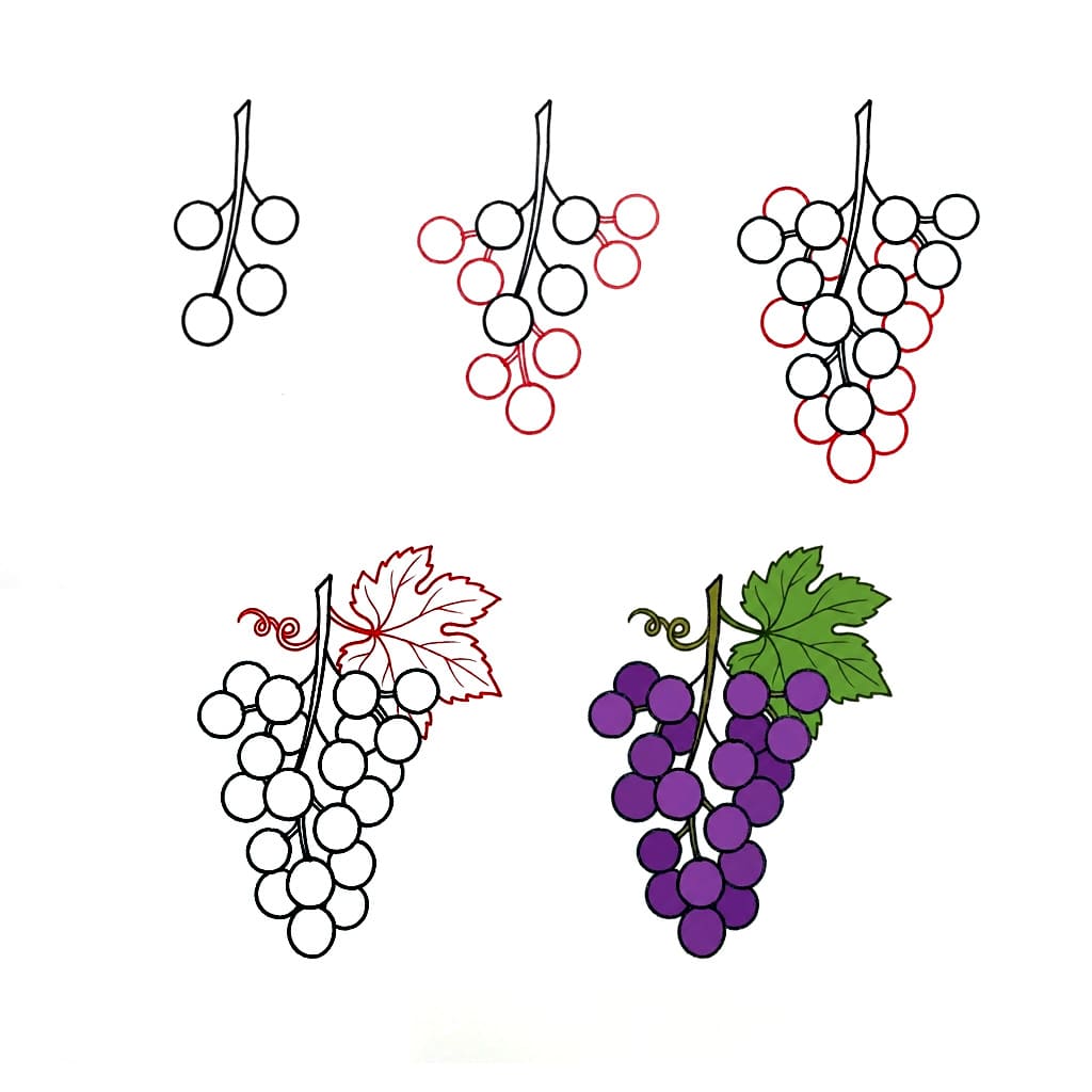 Grappe de raisins Nature dessin