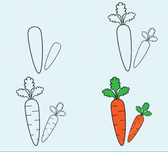 Idée de carotte 14 dessin