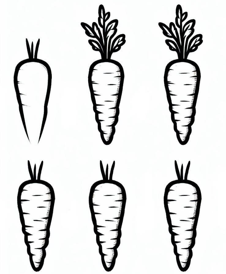 Idée de carotte 18 dessin