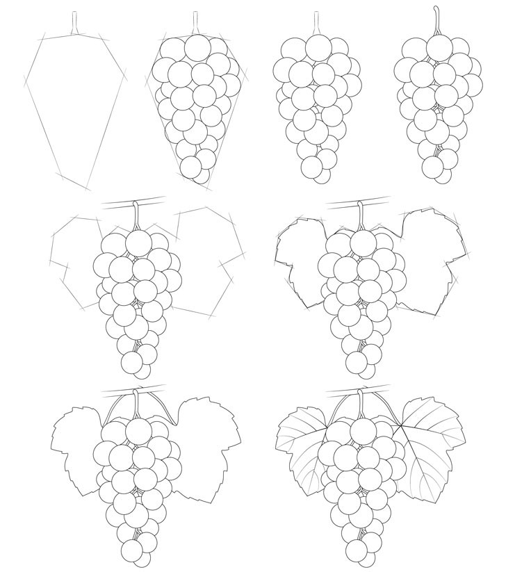 Idée grappe de raisin (1) dessin