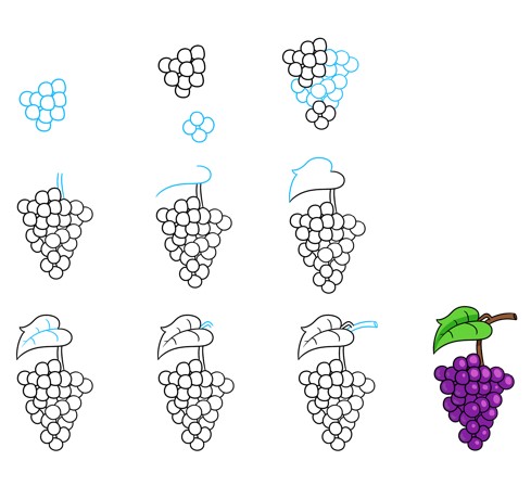 Idée grappe de raisin (3) dessin