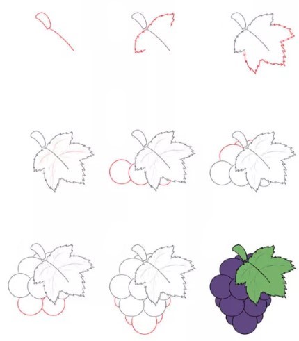 Grappe de raisins dessin