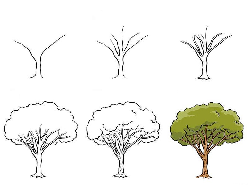 Idée d’arbre (1) dessin