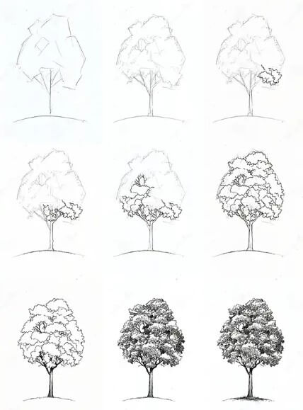 Idée d’arbre (14) dessin