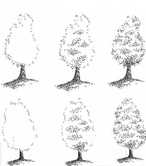 Idée d'arbre (4) dessin