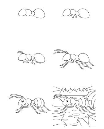 Idée de fourmi (1) dessin